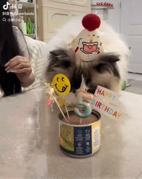 3DM����һ�̵�1694�� ���º�˿��Ů�������㣡