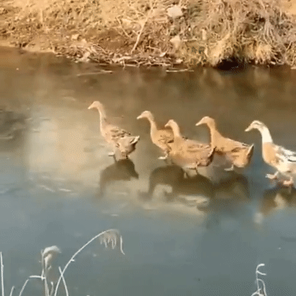 3DM����һ�̵�1694�� ���º�˿��Ů�������㣡