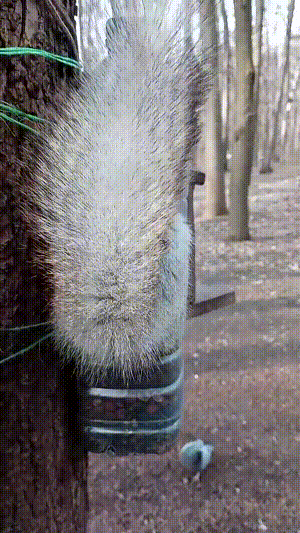 3DM����һ�̵�1694�� ���º�˿��Ů�������㣡