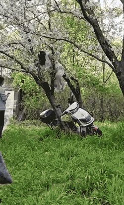 3DM����һ�̵�1694�� ���º�˿��Ů�������㣡