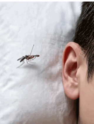 3DM����һ�̵�1694�� ���º�˿��Ů�������㣡