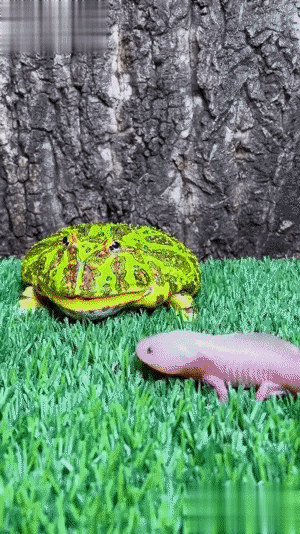 3DM����һ�̵�1694�� ���º�˿��Ů�������㣡