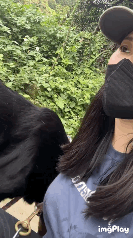 周一内涵囧图云飞系列 妹子捧的蛋糕又白又大又嫩