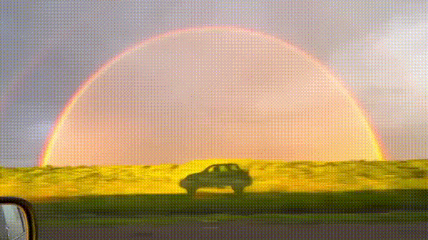 3DM����һ�̵�1697�� ���������۵������Ǻ�