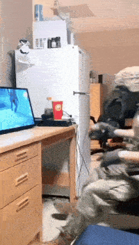 ��һ�ں���ͼ�Ʒ�ϵ�� �������ĵ����ְ��ִ�����