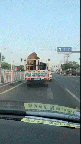 3DM轻松一刻第1697期 大雷妹子累得满身是汗