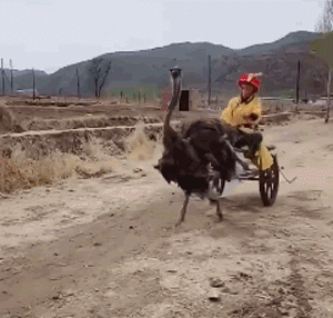 周一内涵囧图云飞系列 妹子捧的蛋糕又白又大又嫩