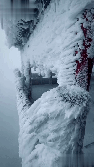 3DM����һ�̵�1697�� ���������۵������Ǻ�