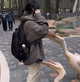 周一内涵囧图云飞系列 妹子捧的蛋糕又白又大又嫩