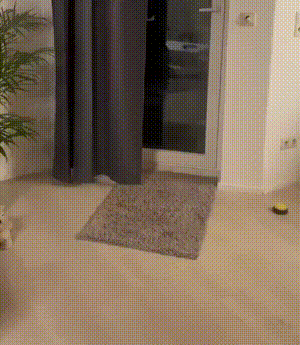 周一内涵囧图云飞系列 妹子捧的蛋糕又白又大又嫩