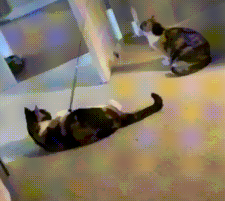 3DM轻松一刻第1697期 大雷妹子累得满身是汗