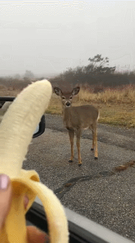 3DM����һ�̵�1699�� ��˿��ȹ��Ů�������Ǵ���