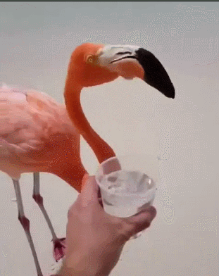 3DM����һ�̵�1699�� ��˿��ȹ��Ů�������Ǵ���