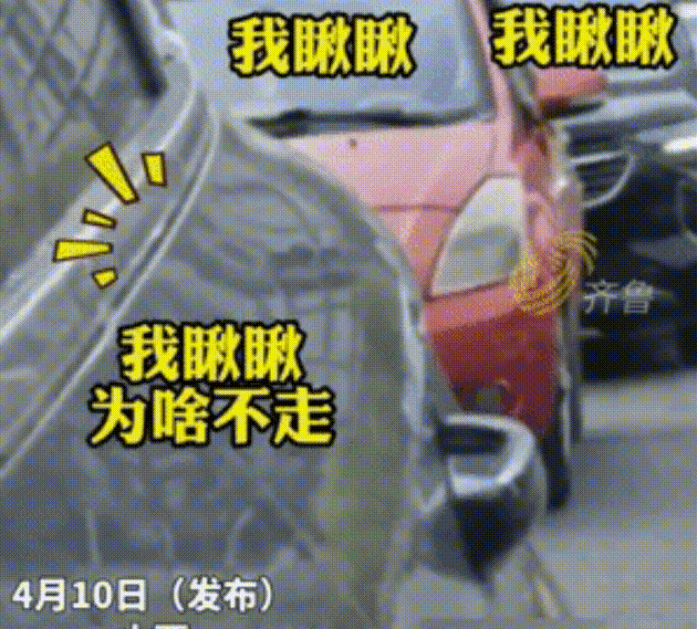 3DM����һ�̵�1699�� ��˿��ȹ��Ů�������Ǵ���