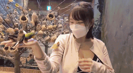 3DM����һ�̵�1699�� ��˿��ȹ��Ů�������Ǵ���