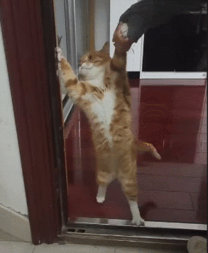 3DM����һ�̵�1699�� ��˿��ȹ��Ů�������Ǵ���