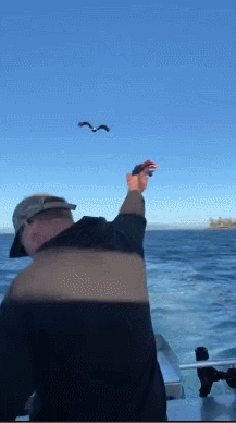 3DM����һ�̵�1699�� ��˿��ȹ��Ů�������Ǵ���