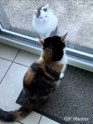 3DM����һ�̵�1699�� ��˿��ȹ��Ů�������Ǵ���