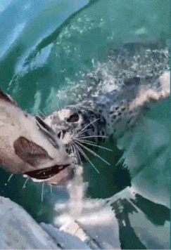 3DM����һ�̵�1699�� ��˿��ȹ��Ů�������Ǵ���