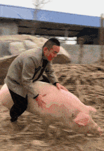 3DM����һ�̵�1700�� ���������ߵ��Ķ��ǽ���