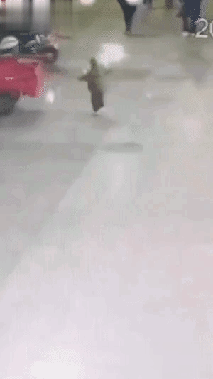 3DM����һ�̵�1700�� ���������ߵ��Ķ��ǽ���