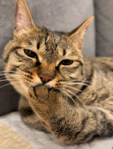 3DM����һ�̵�1700�� ���������ߵ��Ķ��ǽ���