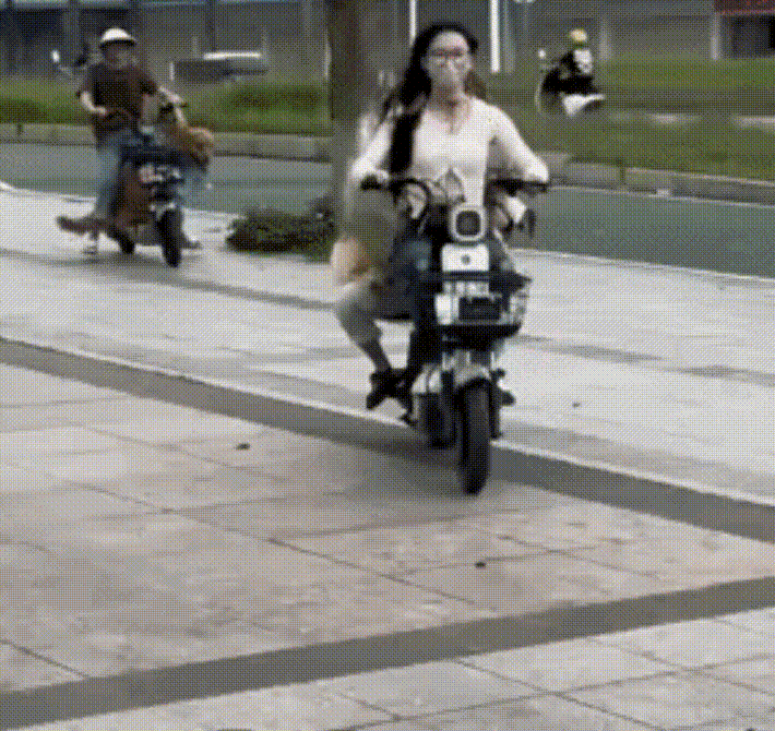 ��һ�ں���ͼ�Ʒ�ϵ�� ԭ��˿�໬˿����Ů����è