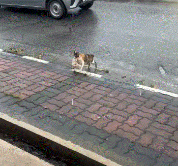 3DM����һ�̵�1700�� ���������ߵ��Ķ��ǽ���