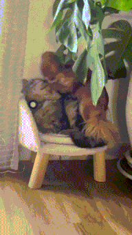 3DM����һ�̵�1700�� ���������ߵ��Ķ��ǽ���