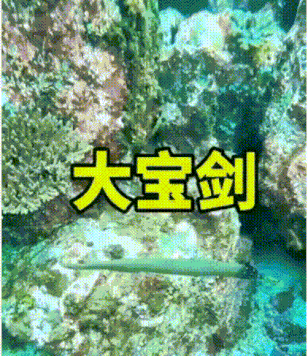 ��һ�ں���ͼ�Ʒ�ϵ�� ԭ��˿�໬˿����Ů����è