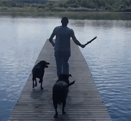 3DM����һ�̵�1700�� ���������ߵ��Ķ��ǽ���