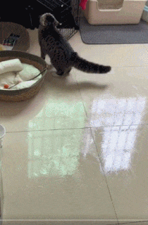 3DM����һ�̵�1700�� ���������ߵ��Ķ��ǽ���