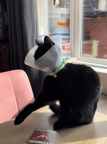 3DM����һ�̵�1700�� ���������ߵ��Ķ��ǽ���