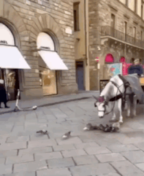 3DM����һ�̵�1706�� ��Ů����Ҫ�ѽŲ������ϣ�