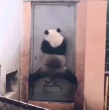周一内涵囧图云飞系列 美女都负重玩还玩的那么溜