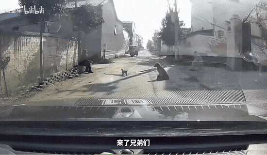 3DM轻松一刻第1707期 什么样的腿才是完美腿型？