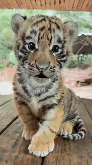 ��һ�ں���ͼ�Ʒ�ϵ�� ��Ů�������滹�����ô��