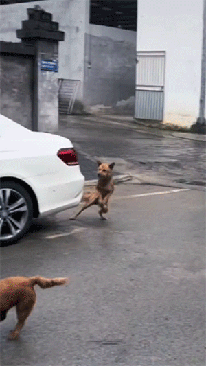 ��һ�ں���ͼ�Ʒ�ϵ�� ��Ů�������滹�����ô��
