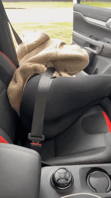 ��һ�ں���ͼ�Ʒ�ϵ�� ��Ů�������滹�����ô��