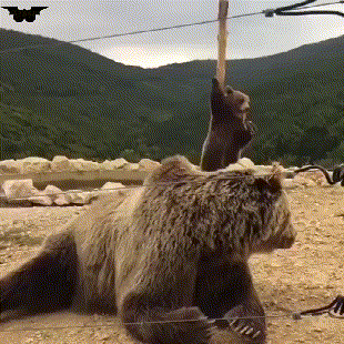 ���帣����ͼ�Ʒ�ϵ�� ÿ���������ж���һ������