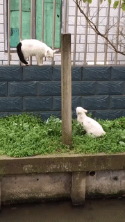 ���帣����ͼ�Ʒ�ϵ�� ÿ���������ж���һ������