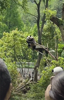 ���帣����ͼ�Ʒ�ϵ�� ÿ���������ж���һ������