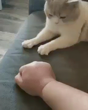 ���帣����ͼ�Ʒ�ϵ�� ÿ���������ж���һ������