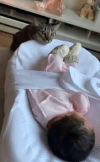 3DM轻松一刻第1724期 好色章鱼哥攀上美女细腰