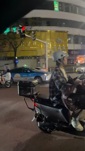 3DM轻松一刻第1724期 好色章鱼哥攀上美女细腰