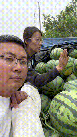 3DM轻松一刻第1724期 好色章鱼哥攀上美女细腰