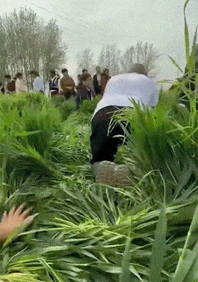 轻松一刻第1728期 端庄比擦边更有杀伤力！