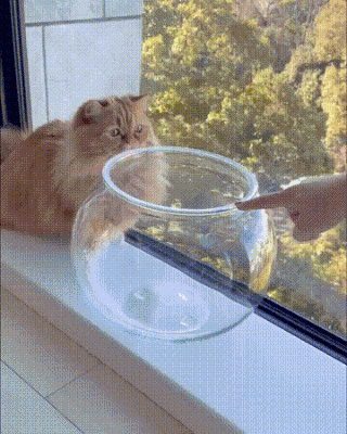 周五福利囧图云飞系列 妹子似乎还有什么放不下的