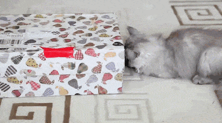 ���帣����ͼ�Ʒ�ϵ�� ���ò�˵��Ӱʦ̫��������