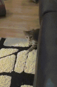 ���帣����ͼ�Ʒ�ϵ�� ���ò�˵��Ӱʦ̫��������